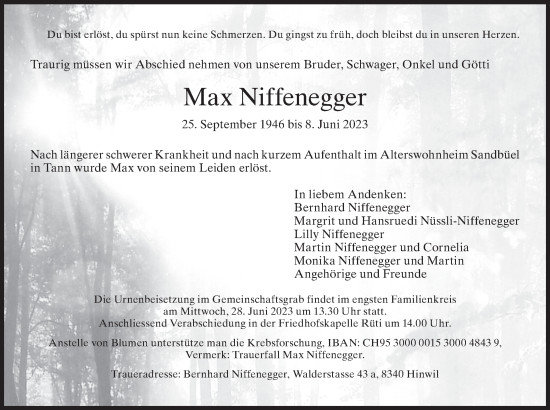 Traueranzeige von Max Niffenegger von AvU